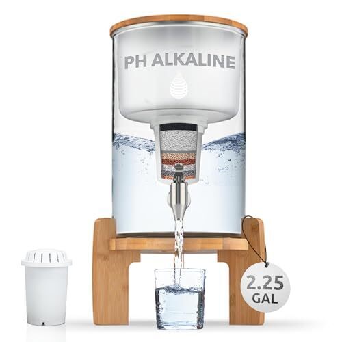 pH Recharge Glass Alkaline Water Dispenser