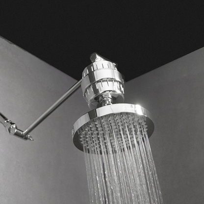 PH005 Shower Filter Cartridge