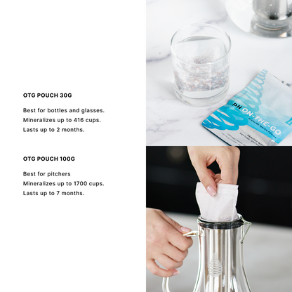 pH On-The-Go Alkaline Water Filter Pouch