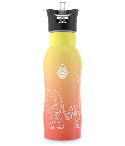 pH Active Insulated Kids Water Bottle (13.5 Oz)